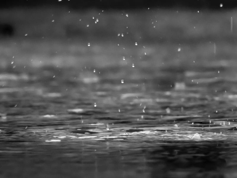WEATHER: 'Outbreaks of rain' Daily weather forecast for Carlow