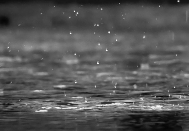 ALERT: Carlow added to yellow rain warning from Met Éireann 