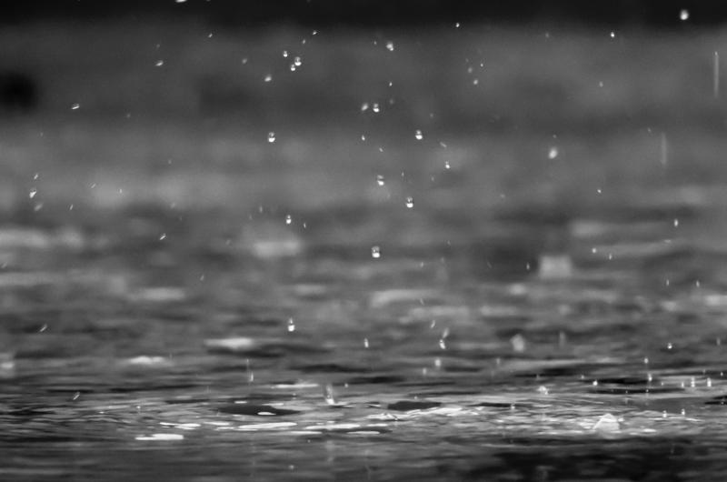 WEATHER: 'Rain moving in' Carlow's daily weather forecast with rain on the cards