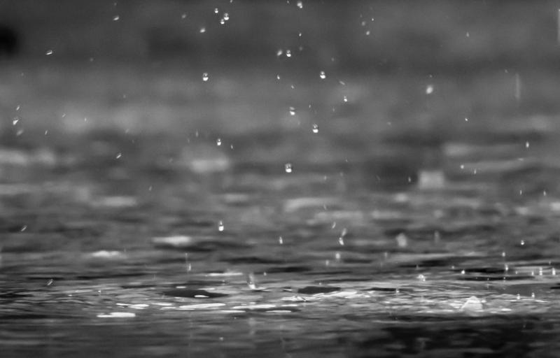Weather: Wind and rain on the way for today