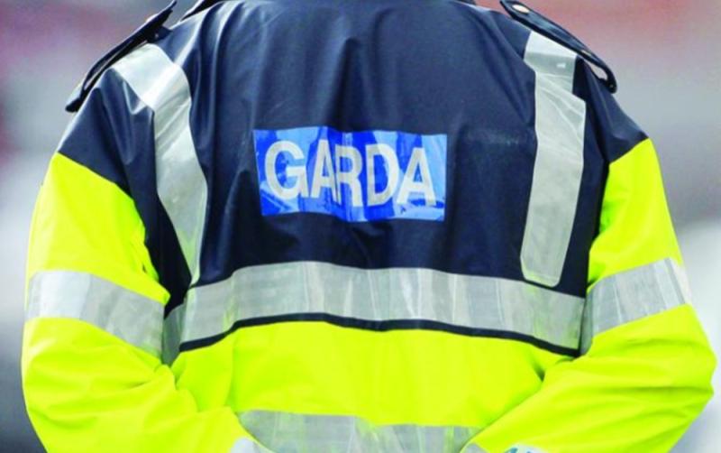 Three arrested following searches in two counties as gardaí target human trafficking gang  