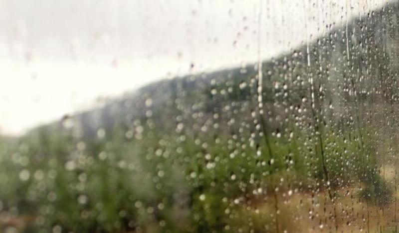 WEATHER: 'Largely dry, patches of drizzle and mist' Carlow weather forecast