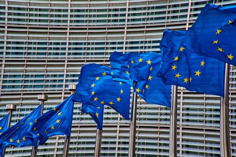 Former Carlow TD now MEP calls for Valerie's Law in Ireland