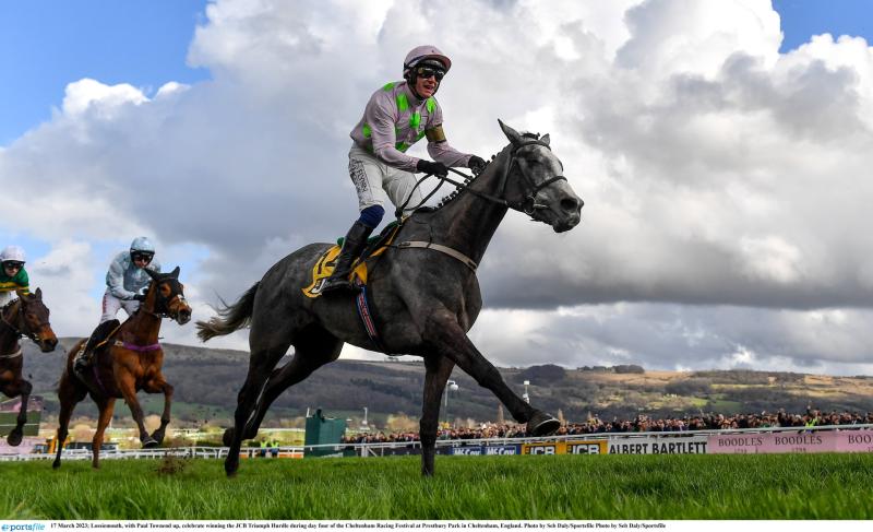 The €10 Cheltenham tips accumulator that could win you €250