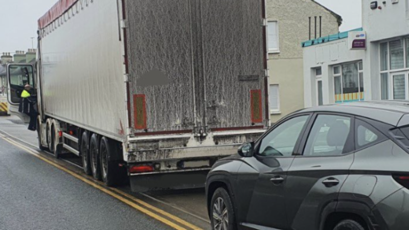 Truck driver caught speeding near school in Roscommon hit with fine and penalty points
