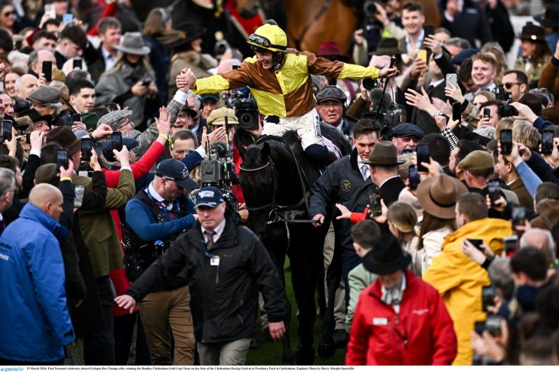 Legendary Carlow horse set for homecoming following back-to-back Cheltenham Gold Cup wins