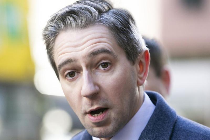 'I'm looking forward to the weeks ahead' - Taoiseach confirms election to be called this week