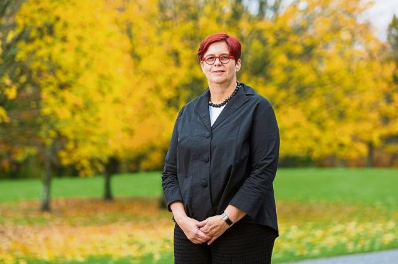 Former president of Irish university appointed to €175k role for which there is 'no course'