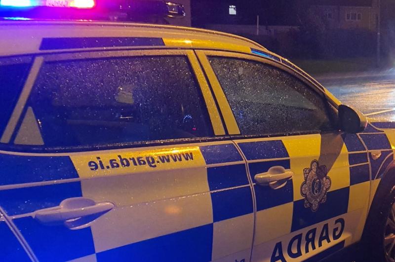 Garda&iacute; make shocking discovery after stopping erratic driver 