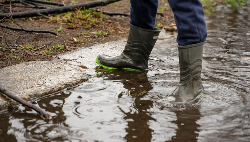 Carlow Farmers need to be prepared for Retirement Relief Changes says ifac