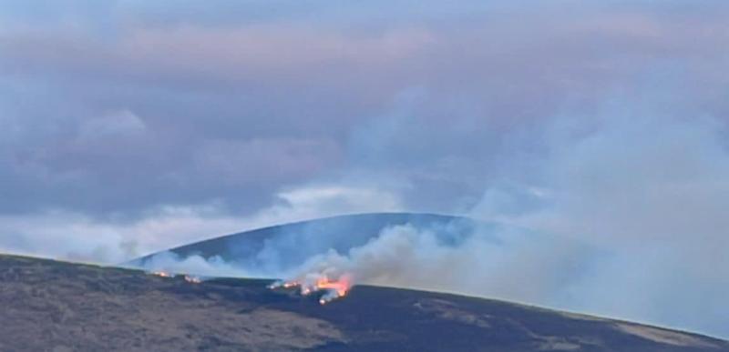 Another series of fires break out on Mount Lenister, Bagenalstown Fire Brigade on the scene