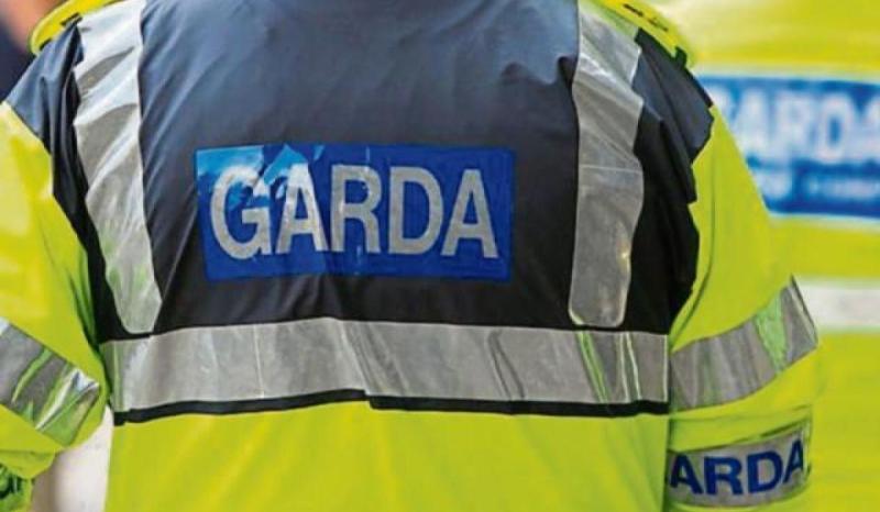 Roscommon: Gardaí appeal for witnesses after alleged assault of a man (70s)