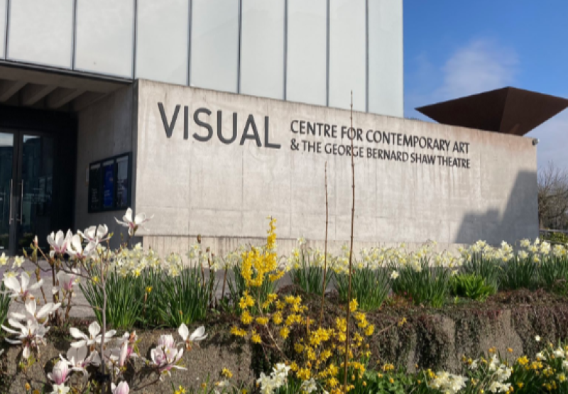 WHAT'S ON: Local Carlow school present their school musical at the Visual Carlow