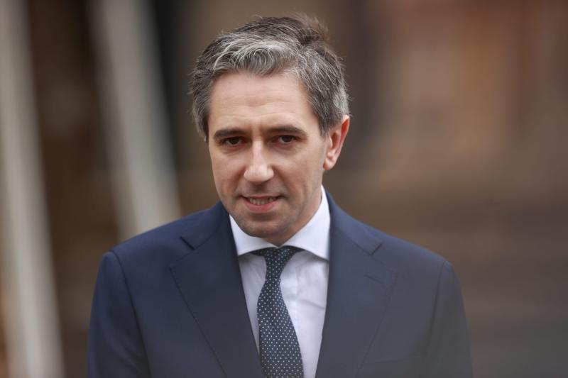Taoiseach says politician's homes should be out of bounds after protest at his house