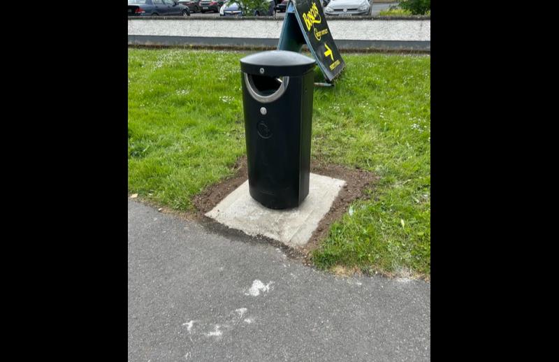 Carlow Councillor shares images of new bins on busy Carlow Town road
