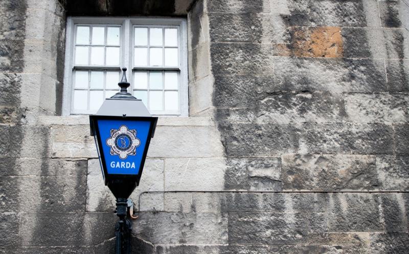 Carlow brothers who went on Christmas Day 'crime spree' appeal 10-year sentences 