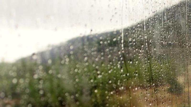 WEATHER: 'Some scattered heavy showers' Wet weather on Carlow's daily forecast