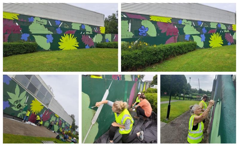 Tullow Tidy Town transform graffiti at local Town Park mural