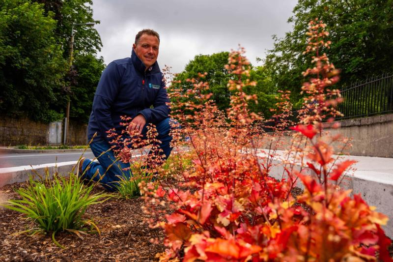 Carlow concrete spaces given over to 'rain gardens'