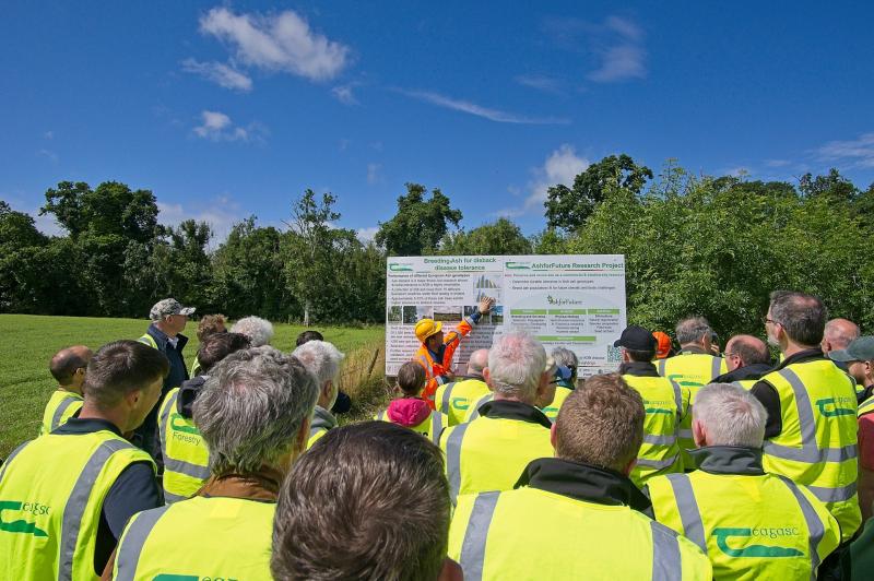 Carlow's Teagasc Oak Park hosts major forestry open day 