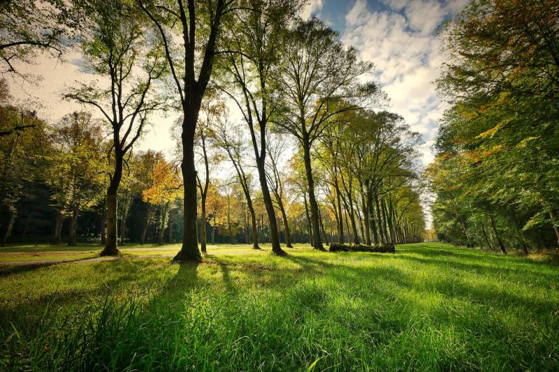 A number of Carlow Groups set to receive almost €400,000 in funding 