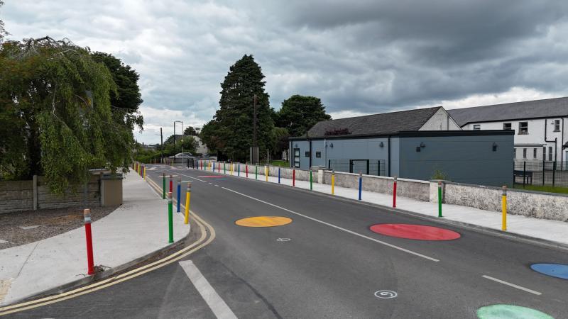 Local Carlow school installs new eye-catching infrastructure 