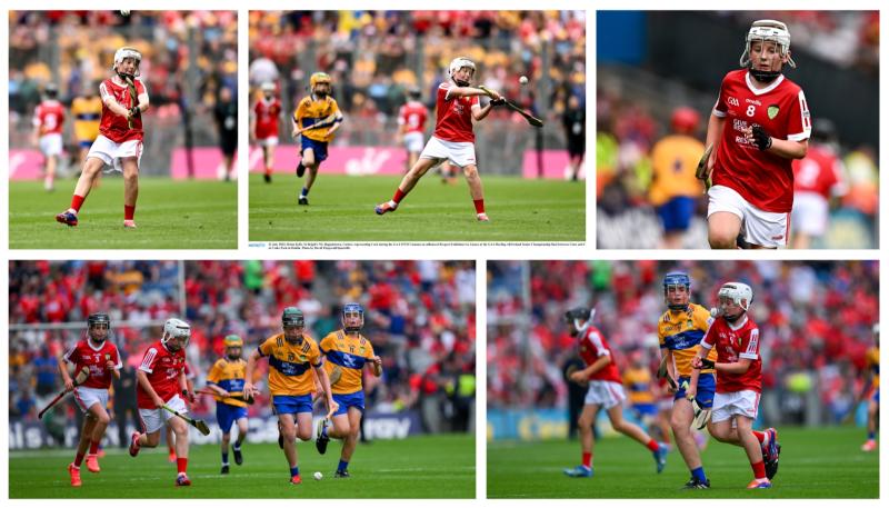 A day to remember for St Brigid's NS Bagenalstown pupil at epic All-Ireland hurling final