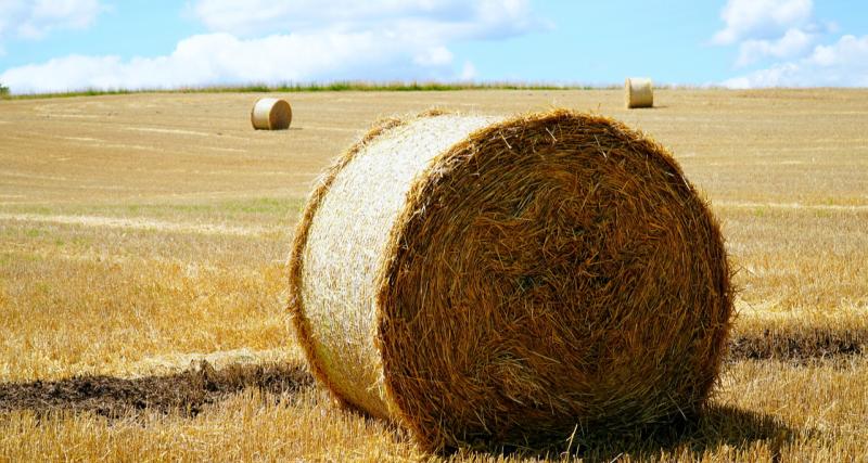 Carlow TD welcomes new Bailing Assistance Payment Scheme 