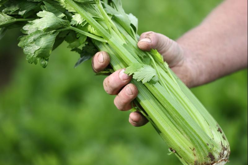 Carlow organic food producers urged to enter National Organic Awards