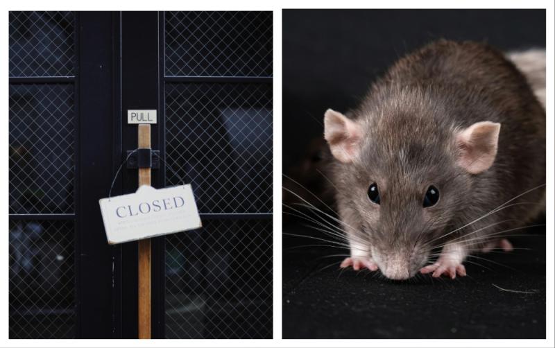 Rats, maggots and food debris - Closure orders served on over 10 food businesses