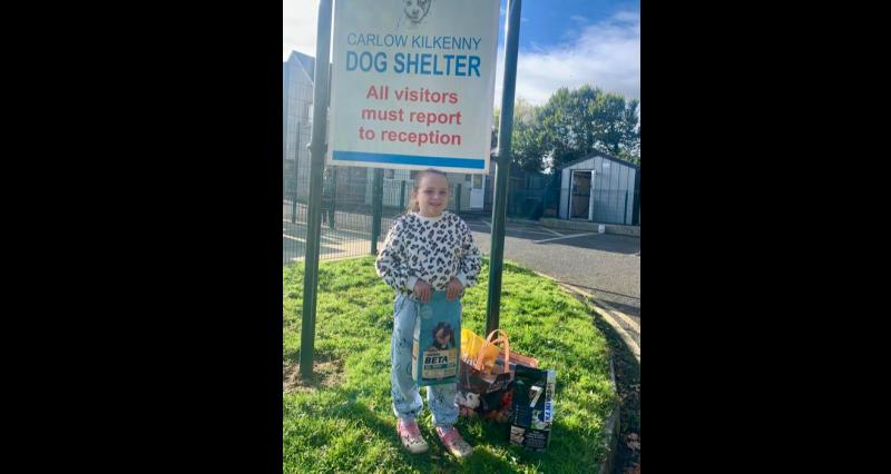 Young girl saves pocket and birthday money to make a donation to Carlow Kilkenny Dog Shelter