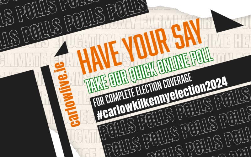 POLL: Which political party are you likely to support in the General Election?