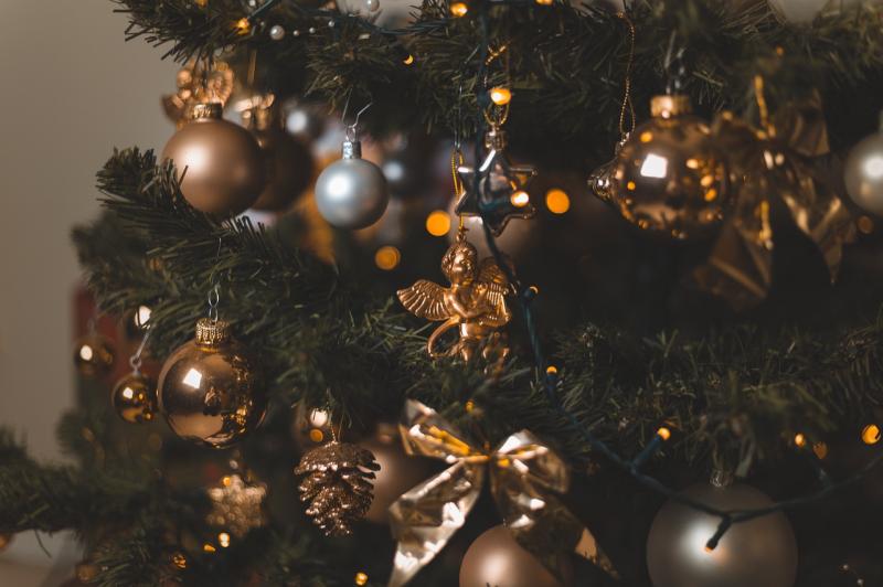 WHAT'S ON: Get in the festive spirit as the Christmas Tree Festival takes place in Carlow