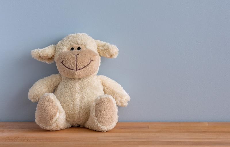 Carlow MEP backs EU move to remove chemicals from children's toys 