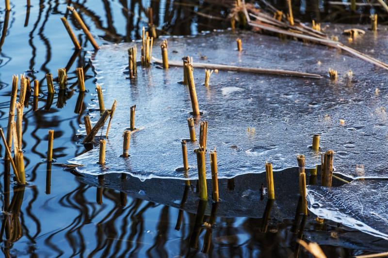 WARNING: Parents and children advised to avoid this one activity during cold snap