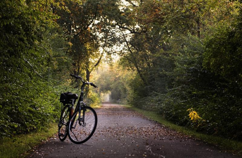 Local Carlow TD welcomes €6,000,000 funding for Active Travel in Carlow and Kilkenny 