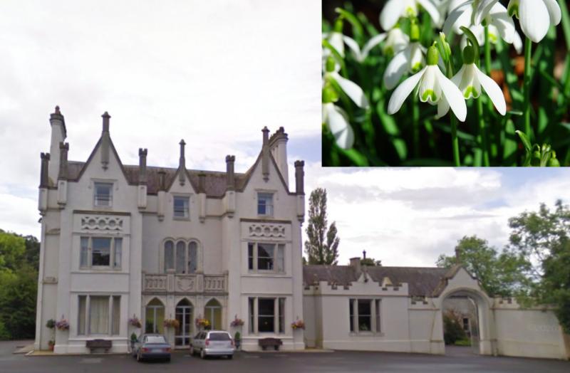 WHAT'S ON: 14th anniversary of annual Snowdrop Gala set to take place in Carlow