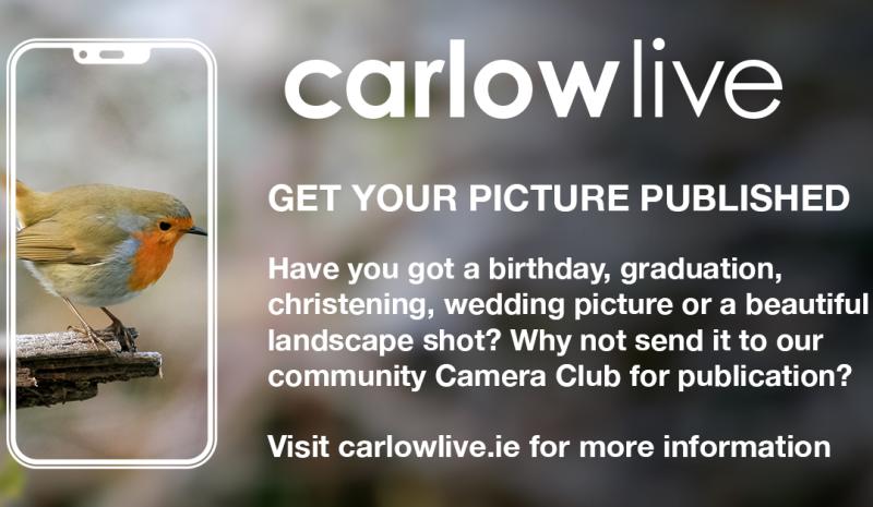 Got a local wedding picture or landscape shot? Send it to the Carlow Camera Club! 