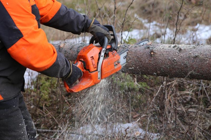 'Well-intentioned' members of the public urged not to use chainsaws in Storm Éowyn aftermath