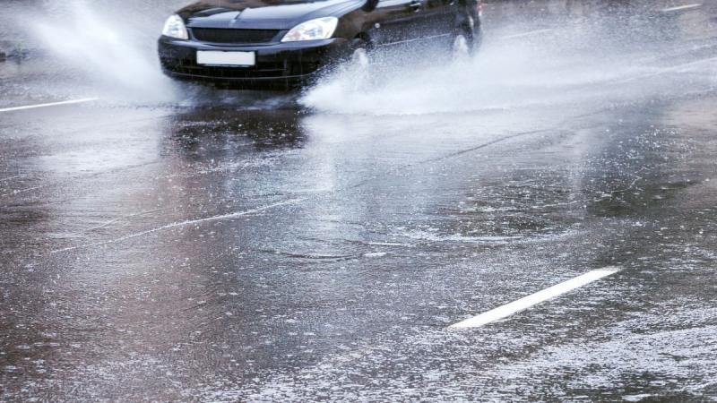 Autumn road risks that could land Carlow drivers with unwanted fines and penalty points