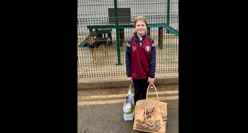 Young girl proves 'Not all superheroes wear capes' by raising funds for Carlow Dog Shelter