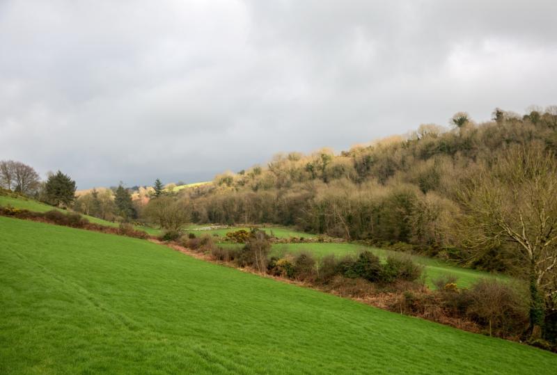 Applications sought in Carlow for the Heritage Council’s Adopt a Monument Scheme