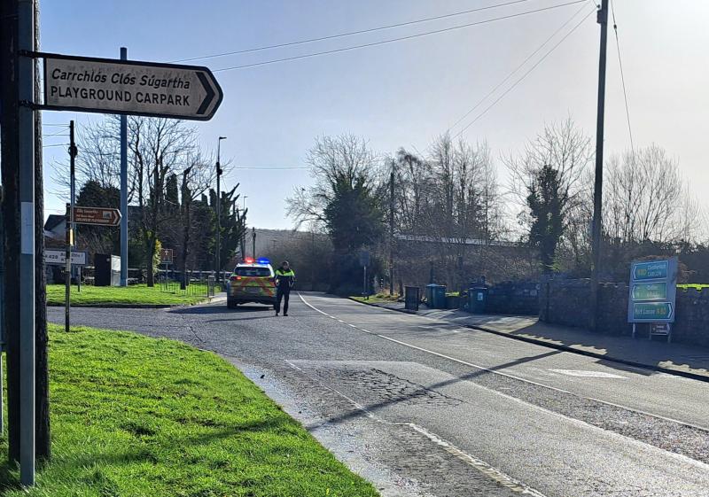 'An absolute gent' - Man killed after being hit by car in Laois named locally