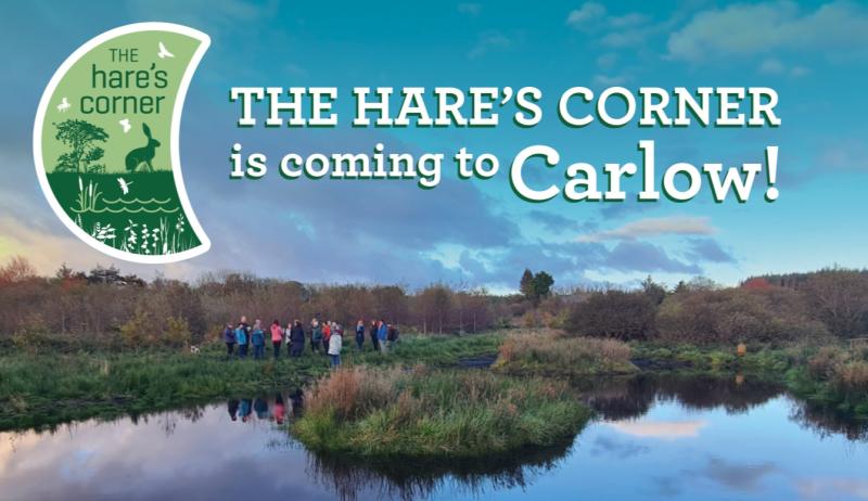 A hare's corner for every corner of Carlow is being rolled out this year in the County