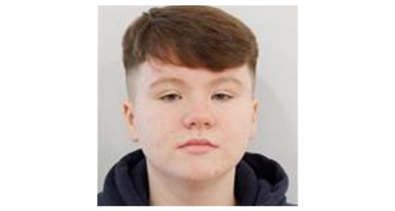 Garda&iacute; in urgent appeal for information on missing 13-year-old girl