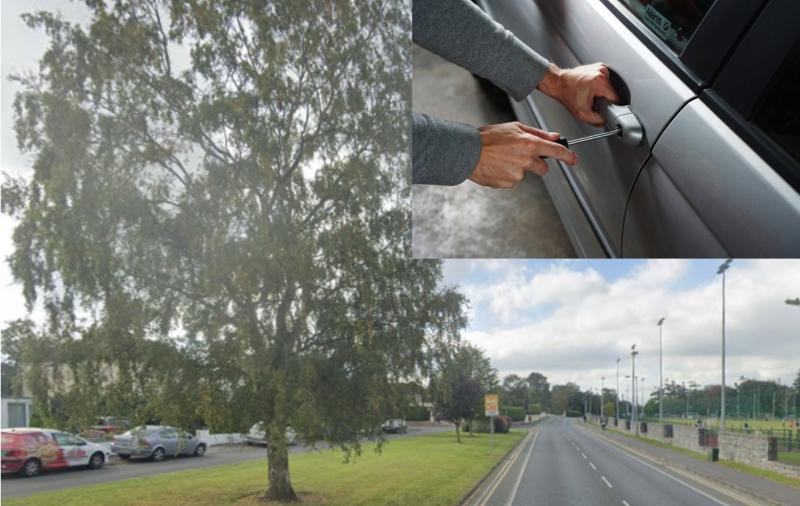 Gardaí in Carlow Town investigating a spate of thefts from vehicles in local area