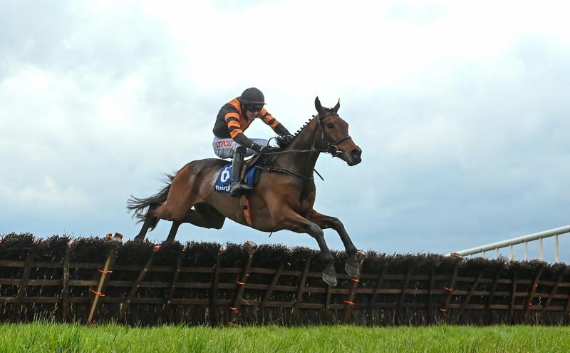 Homecoming details announced for Grand National winner in County Carlow