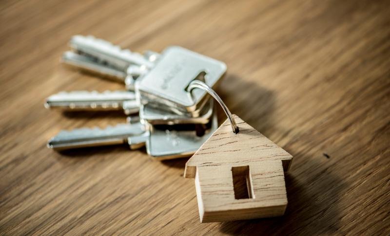 'Temporary pause' on housing grant applications in County Carlow 
