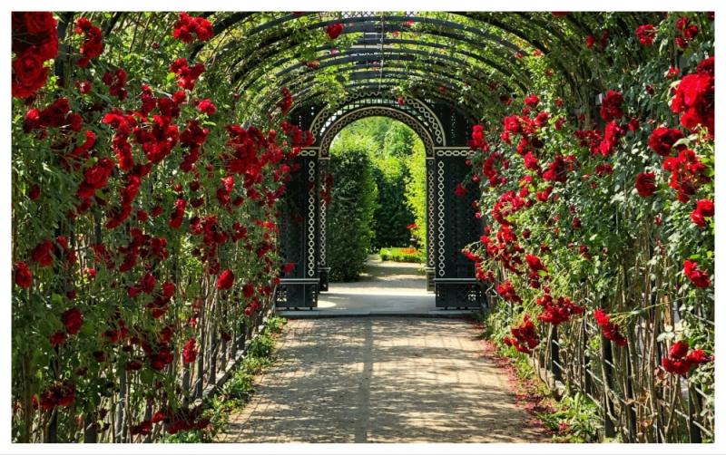 Final call to book for the Carlow Garden Festival 2025 
