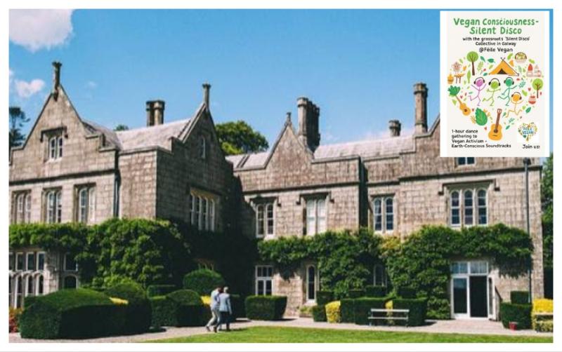'Ireland’s ultimate vegan festival' to be held in Carlow this weekend
